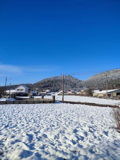 Gite Cosy Avec Avec Jardin Et Parking Privatifs - Hautes Vosges Saint-Amé Dış mekan fotoğraf