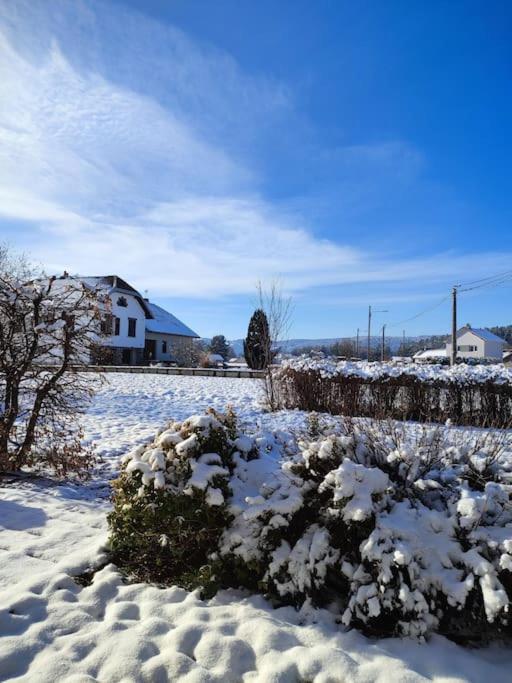 Gite Cosy Avec Avec Jardin Et Parking Privatifs - Hautes Vosges Saint-Amé Dış mekan fotoğraf